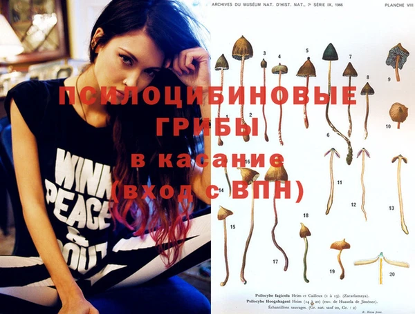 тгк Михайлов