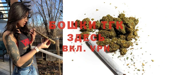 тгк Михайлов