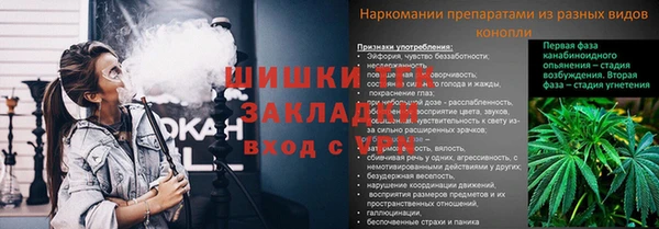 тгк Михайлов