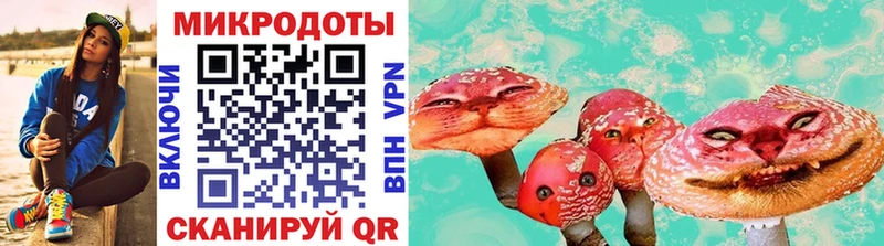Псилоцибиновые грибы мицелий  закладка  МЕГА рабочий сайт  Ногинск 